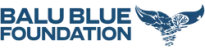 Balu Blue Foundation