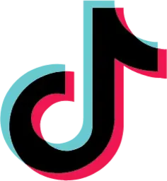 TikTok Icon